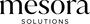 Mesora Solutions